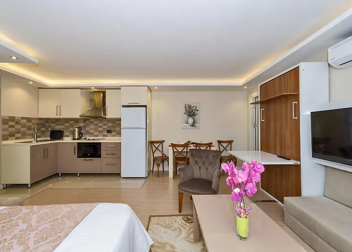 根套房 伊斯坦布尔